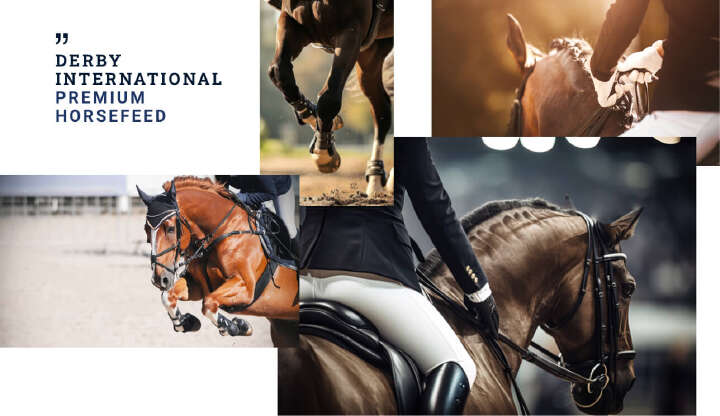derby international premium horsefeed banner derby international premium horsefeed banner